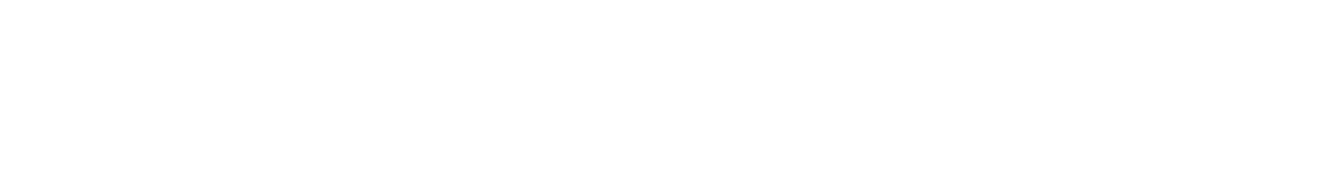 Final Burn Neo logo