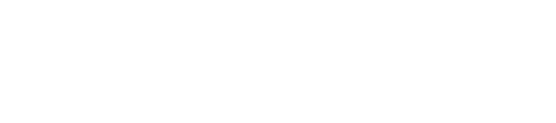 Toaplan logo