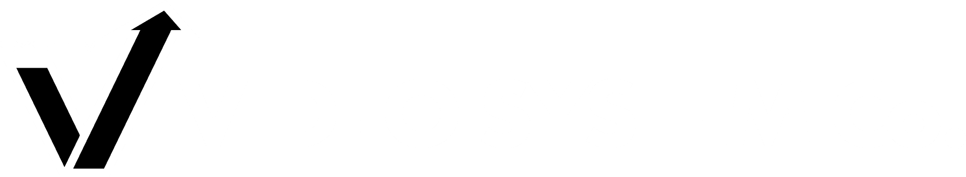 Video System Co logo