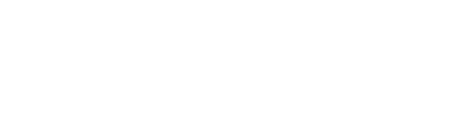 Commodore 128 logo
