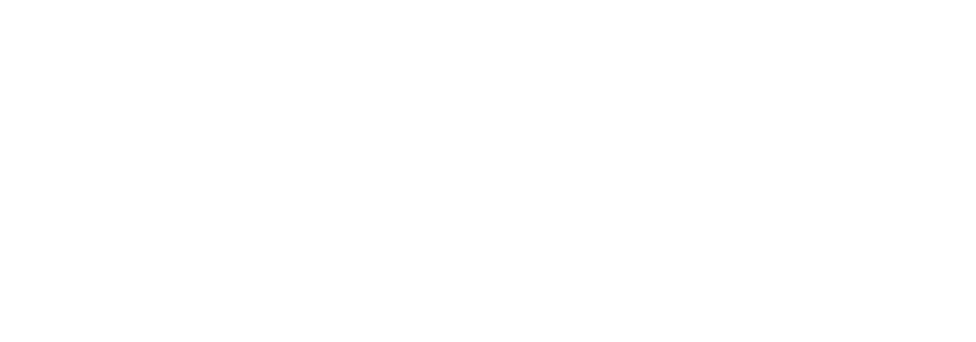 Commodore Max logo