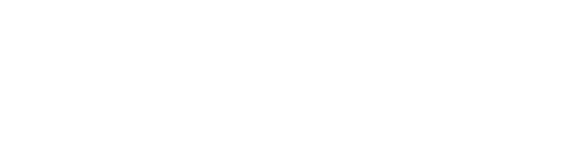 Commodore Plus 4 logo