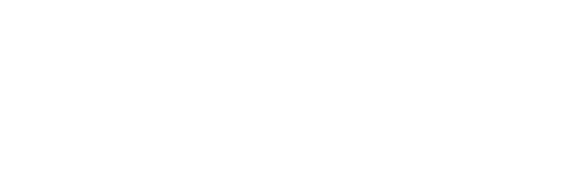 Phillips VG 5000 logo