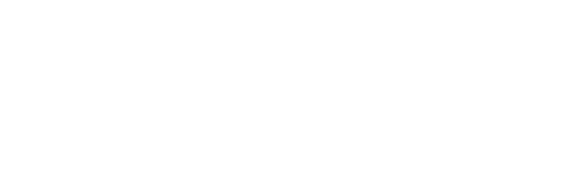 Magnavox Odyssey 2 logo