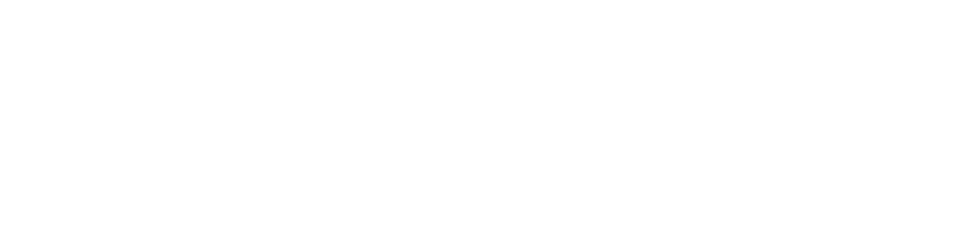 NEC Turbo Duo logo