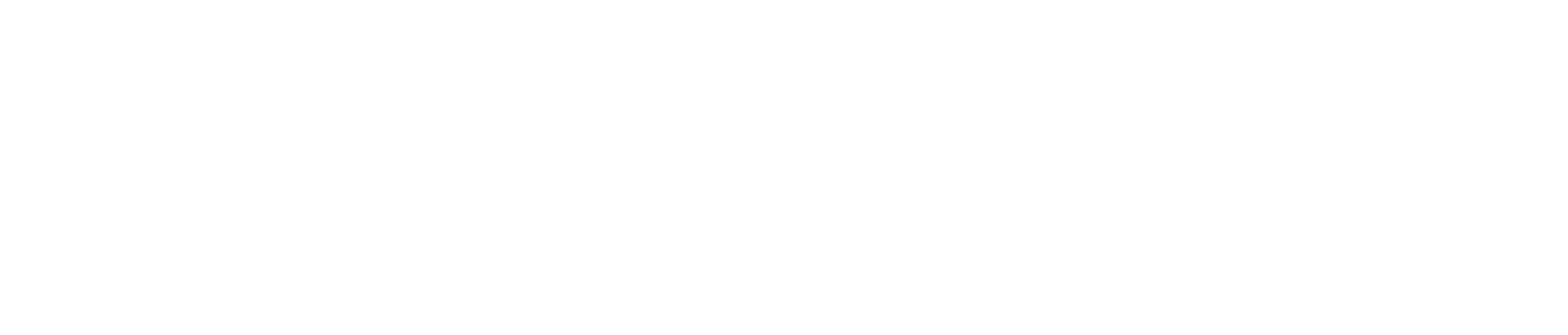 Nintendo Color TV-Game logo