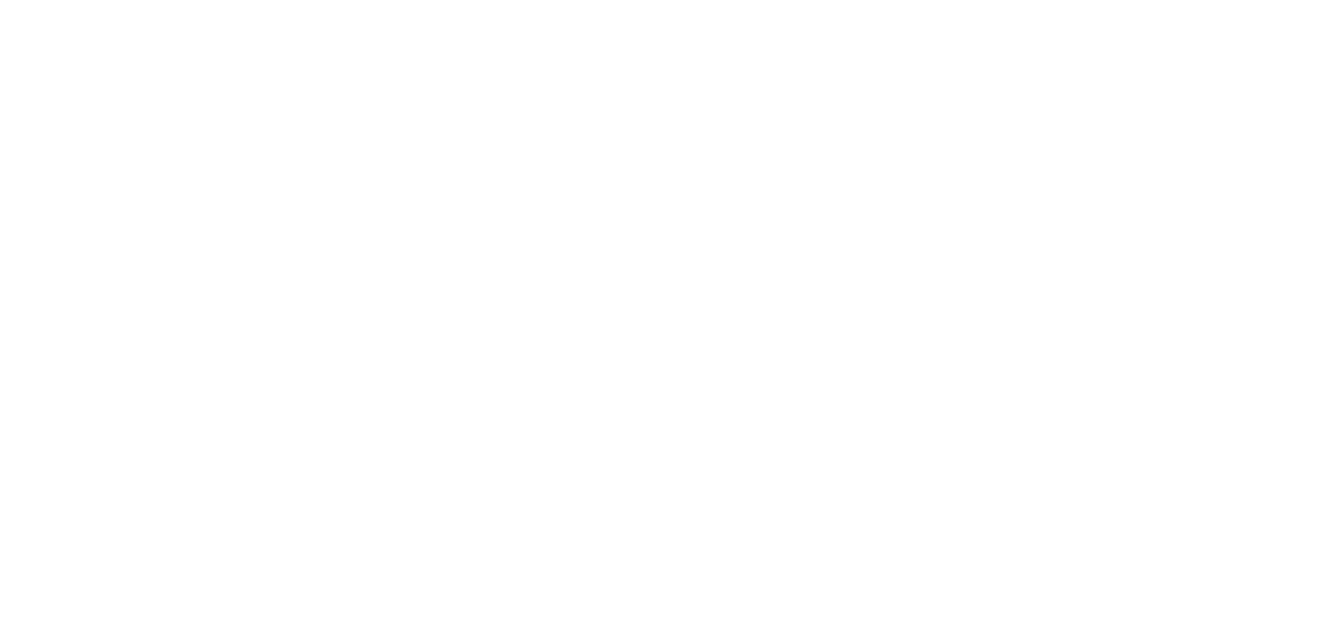 Nintendo Wii logo