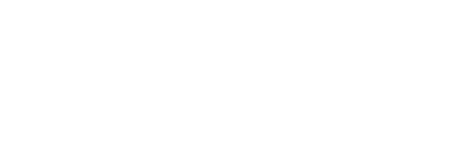 SNK Neo Geo logo