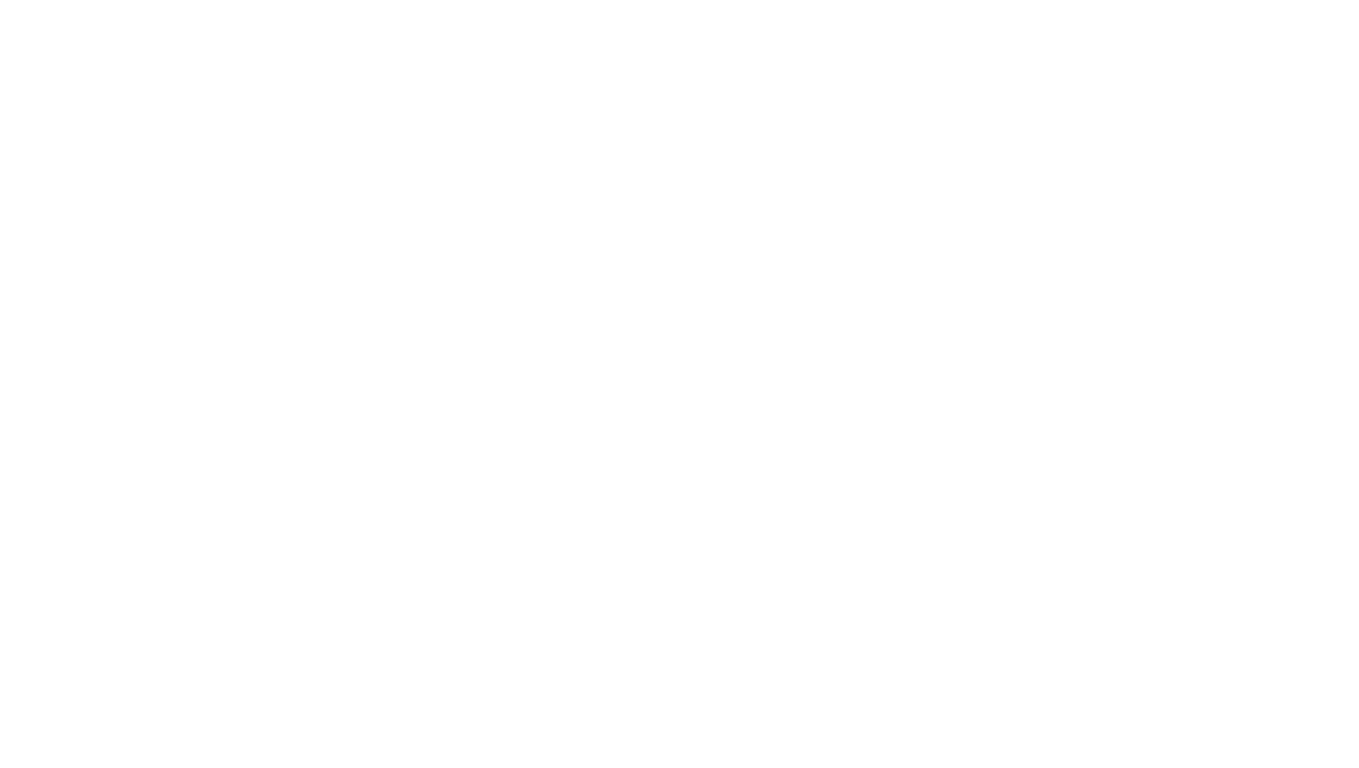 Mega Duck logo