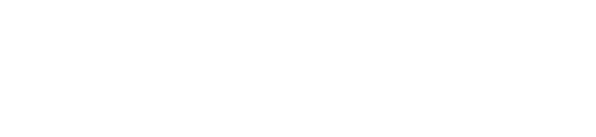 New Nintendo 3DS logo