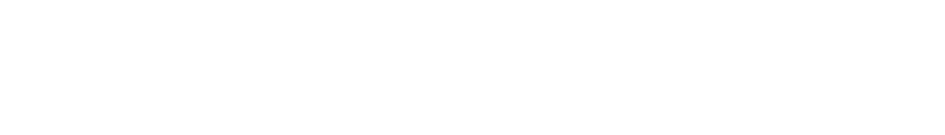 Nintendo DS logo