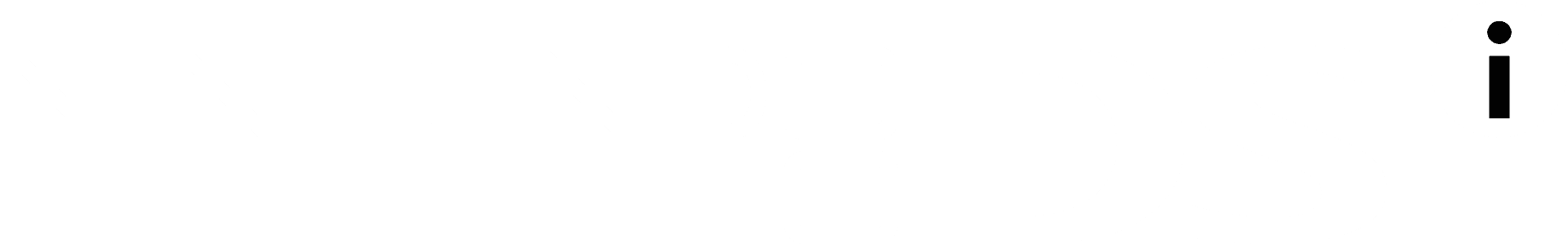 Nintendo DSi logo