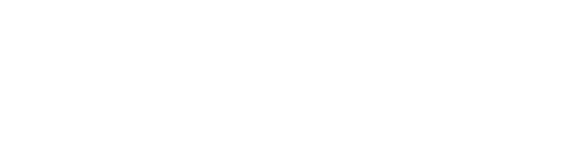 SNK Neo Geo Pocket Color logo