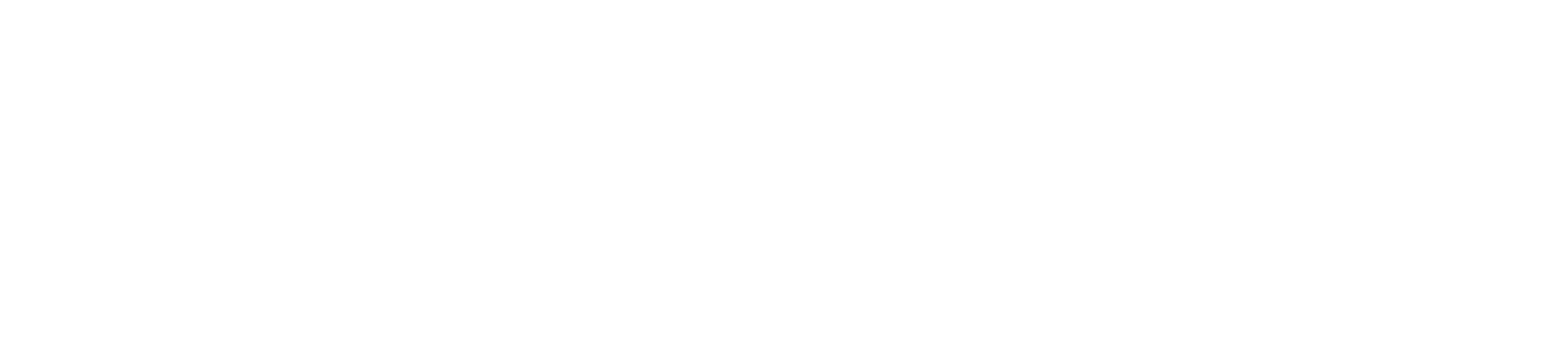 SNK Neo Geo Pocket logo