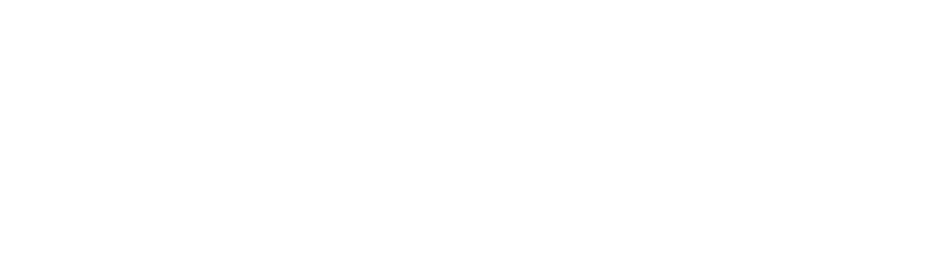 Tiger LCD Handhelds logo
