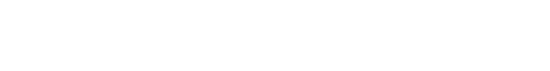WonderSwan logo