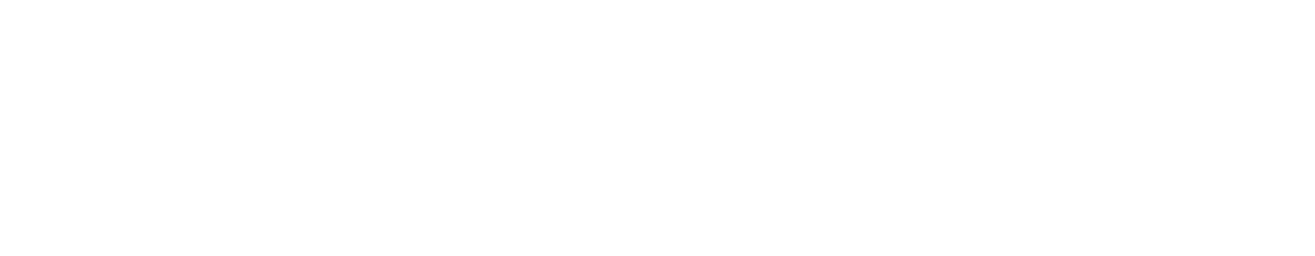 Wonderswan Color logo
